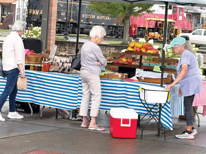 Elkins Farmers Market Fun